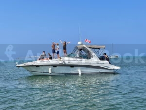 Toronto Boat Rental and Yacht Charter | AnchorsBook Photo Toronto Boat Rental and Yacht Charter | AnchorsBook.com