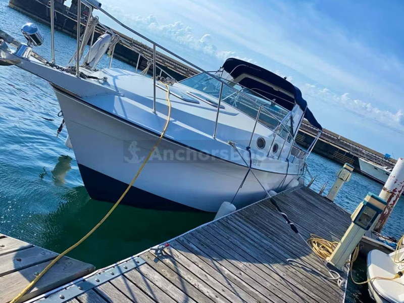 Ready to Party on 34ft MTX Stylish Motor Yachts (Up to 10 people) | AnchorsBook Photo Ready to Party on 34ft MTX Stylish Motor Yachts (Up to 10 people)
