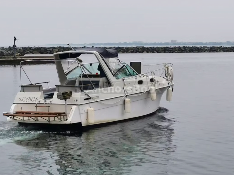 Ready to Party on 34ft MTX Stylish Motor Yachts (Up to 10 people) | AnchorsBook Photo Ready to Party on 34ft MTX Stylish Motor Yachts (Up to 10 people)