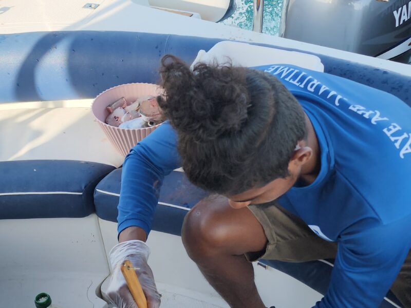 Deep sea Fishing & BBQ (4 hours) | AnchorsBook Photo Deep sea Fishing & BBQ (4 hours)