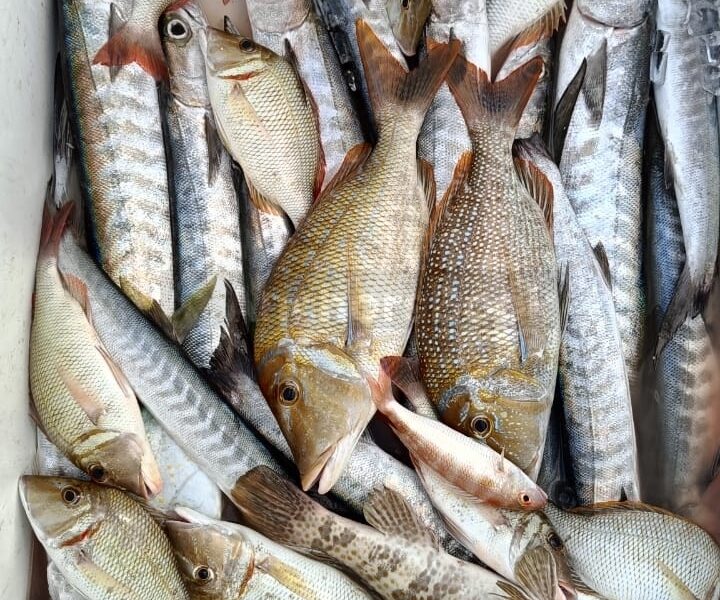 Deep sea Fishing & BBQ (4 hours) | AnchorsBook Photo Deep sea Fishing & BBQ (4 hours)