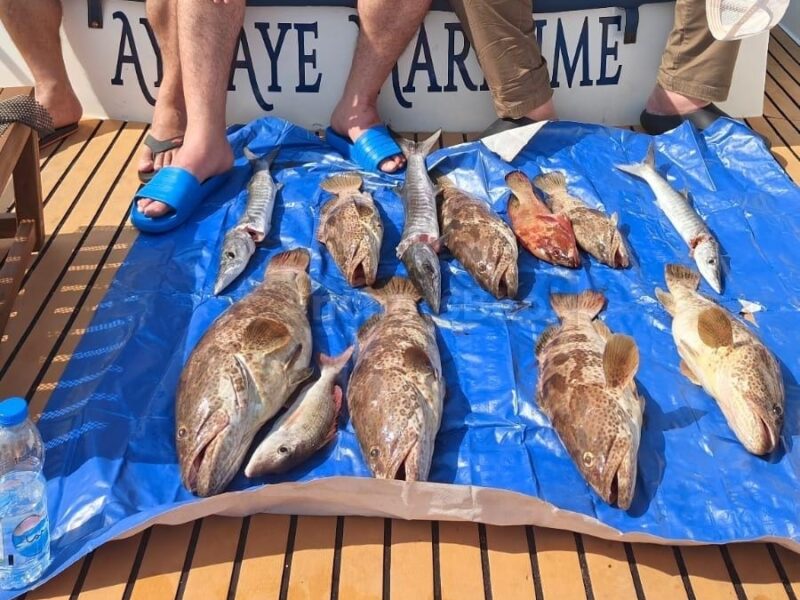 Deep sea Fishing & BBQ (4 hours) | AnchorsBook Photo Deep sea Fishing & BBQ (4 hours)