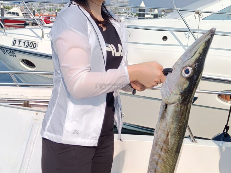 Deep sea Fishing & BBQ (4 hours) | AnchorsBook Photo Deep sea Fishing & BBQ (4 hours)