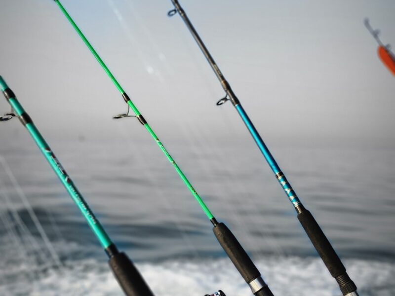 Deep sea Fishing & BBQ (4 hours) | AnchorsBook Photo Deep sea Fishing & BBQ (4 hours)
