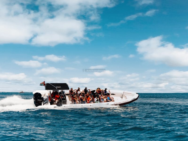 90 Minute Speed Boat Tour: Marina, Atlantis, Palm and Burj al arab | AnchorsBook Photo 90 Minute Speed Boat Tour: Marina, Atlantis, Palm and Burj al arab