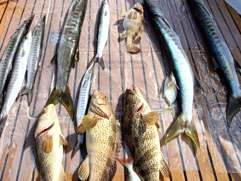 Deep sea Fishing & BBQ (4 hours) | AnchorsBook Photo Deep sea Fishing & BBQ (4 hours)