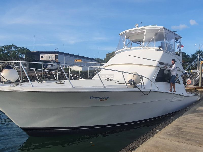 Half-Day 4 Hour Private Cruising at Panama Bay - Viking 46' | AnchorsBook Photo Half-Day 4 Hour Private Cruising at Panama Bay - Viking 46'