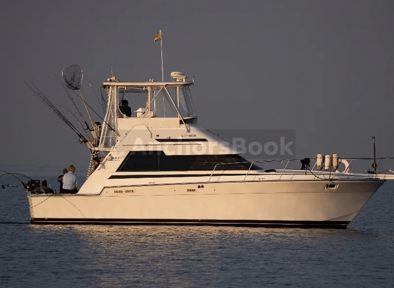 Yacht Rental In Mississauga & Toronto - 12 Max Guests | AnchorsBook Photo Yacht Rental In Mississauga & Toronto - 12 Max Guests