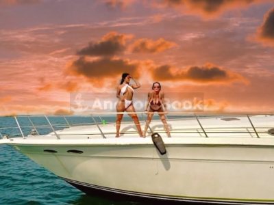 Florida Boat Rental & Yacht Charter | AnchorsBook Photo Succulenta Rosé Yacht (Captain & Fuel included)