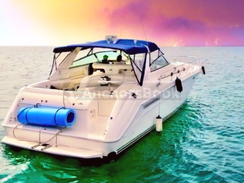 Succulenta Rosé Yacht (Captain & Fuel included) | AnchorsBook Photo Succulenta Rosé Yacht (Captain & Fuel included)