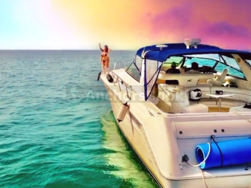 Succulenta Rosé Yacht (Captain & Fuel included) | AnchorsBook Photo Succulenta Rosé Yacht (Captain & Fuel included)