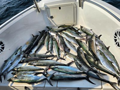 Fun & Spacious 23ft Nautic Star NY/NJ | AnchorsBook Photo Blue Lobster Full Day Fishing Tours