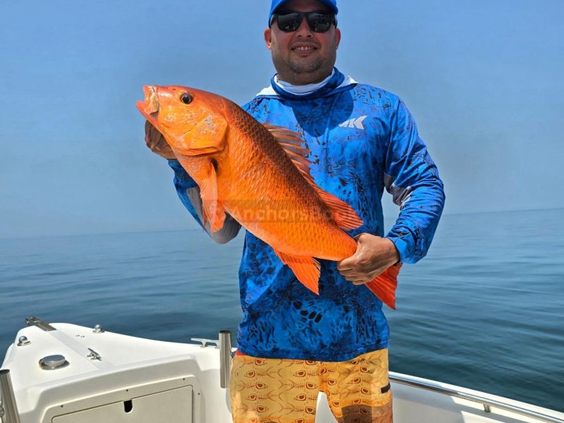 Blue Lobster Full Day Fishing Tours | AnchorsBook Photo Blue Lobster Full Day Fishing Tours