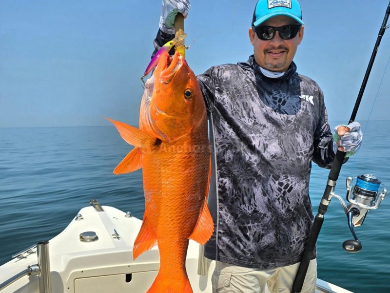 Blue Lobster Full Day Fishing Tours | AnchorsBook Photo Blue Lobster Full Day Fishing Tours