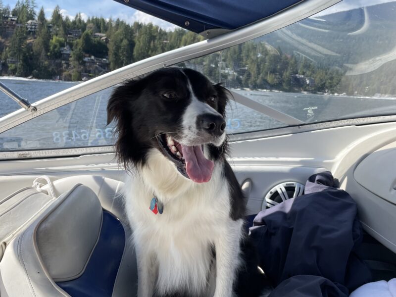 North Vancouver Boat Rental - 6 Max Guests (Pet Friendly) | AnchorsBook Photo North Vancouver Boat Rental - 6 Max Guests (Pet Friendly)
