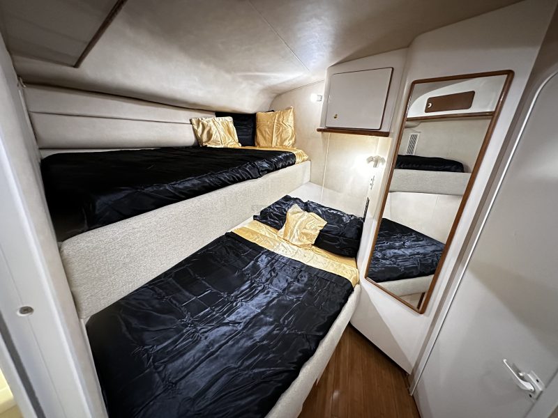 Succulenta Rosé Yacht (Captain & Fuel included) | AnchorsBook Photo Succulenta Rosé Yacht (Captain & Fuel included)