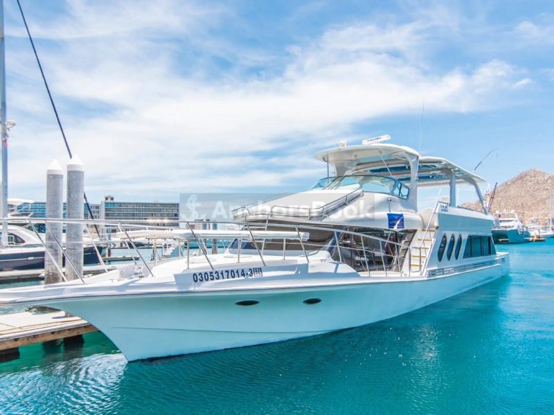 5 Hour Fishing Charter - Catch Exotic Fish | Drinks, Lunch, Live Bait Included | Up To 45 GUESTS in Cabo San Lucas | AnchorsBook Photo 5 Hour Fishing Charter - Catch Exotic Fish | Drinks, Lunch, Live Bait Included | Up To 45 GUESTS in Cabo San Lucas