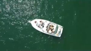 Montreal Boat Rental & Yacht Charter | AnchorsBook Photo Montreal Boat Rental & Yacht Charter | AnchorsBook.com