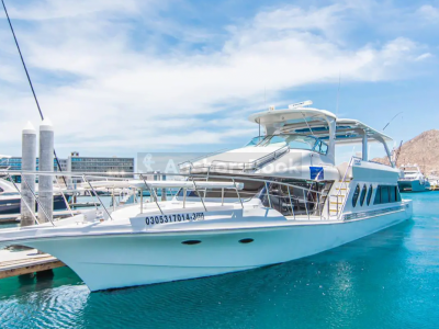 4 Hour Snorkeling Tour - Catch Exotic Fish | Drinks, Lunch, Snorkeling Gear & Paddleboards Included