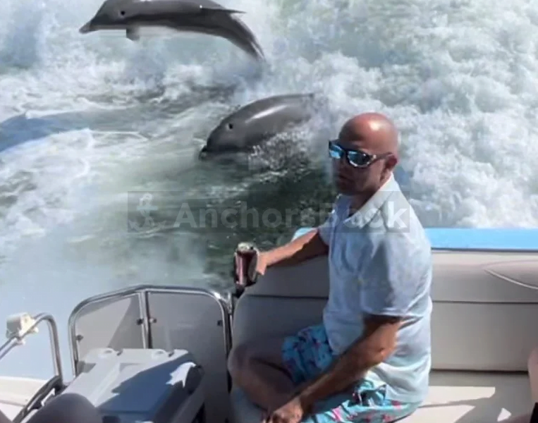 Explore Adventure with Our Luxury Party Yacht Rental in St. Pete, FL! 🚤 (Dolphin Watching, Birthday Party, Booze Cruises, and more)