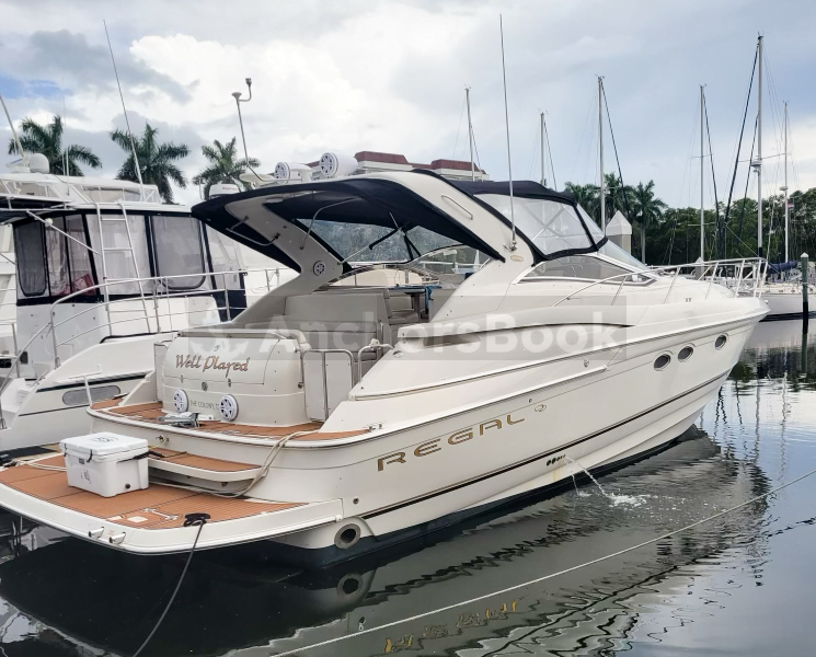 Explore Adventure with Our Luxury Party Yacht Rental in St. Pete, FL! 🚤 (Dolphin Watching, Birthday Party, Booze Cruises, and more)