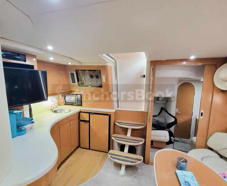 Explore Adventure with Our Luxury Party Yacht Rental in St. Pete, FL! 🚤 (Dolphin Watching, Birthday Party, Booze Cruises, and more)