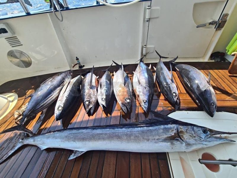 Luxury Fishing Yacht Charter In Greece - Includes Food & Drinks onboard, Fishing Equipment, Service Crew | AnchorsBook Photo Luxury Fishing Yacht Charter In Greece - Includes Food & Drinks onboard, Fishing Equipment, Service Crew