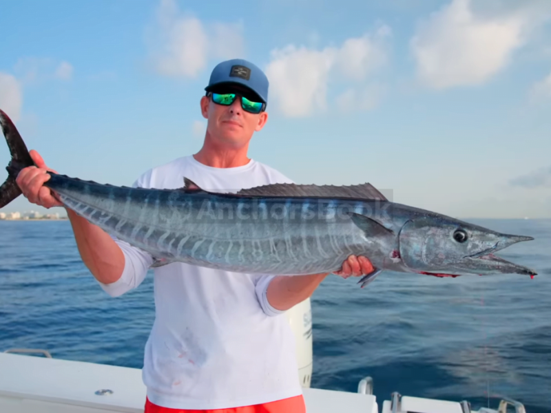 5 Hour Fishing Charter - Catch Exotic Fish | Drinks, Lunch, Live Bait Included | Up To 45 GUESTS in Cabo San Lucas | AnchorsBook Photo 5 Hour Fishing Charter - Catch Exotic Fish | Drinks, Lunch, Live Bait Included | Up To 45 GUESTS in Cabo San Lucas