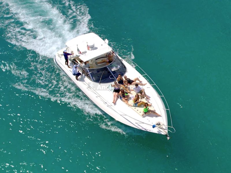 Private Premium Yacht 46FT Rental in Cancun | AnchorsBook Photo Private Premium Yacht 46FT Rental in Cancun