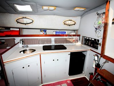 Fishing Boat Rental In Puerto Vallarta, Jalisco | Alura 35