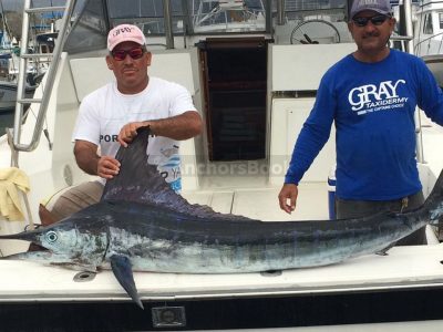 Beautiful SeaRay 34 | AnchorsBook Photo Fishing Boat Rental In Puerto Vallarta, Jalisco | Alura 35