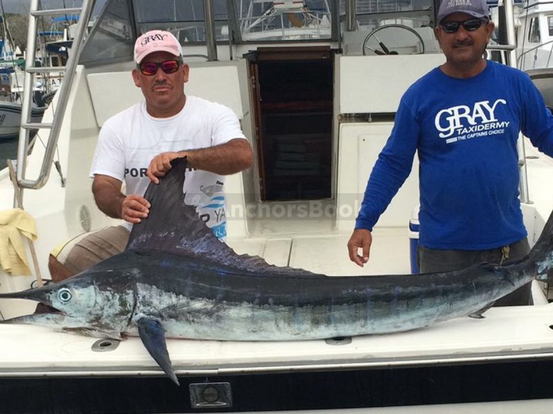 Fishing Boat Rental In Puerto Vallarta, Jalisco | Alura 35 | AnchorsBook Photo Fishing Boat Rental In Puerto Vallarta, Jalisco | Alura 35