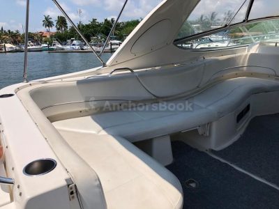 Beautiful SeaRay 34 | AnchorsBook Photo Luxury Yacht Rental In Puerto Vallarta, Jalisco | Bayliner 32