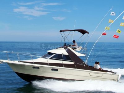 Fishing Boat Rental In Puerto Vallarta, Jalisco | Brisa II