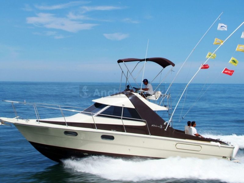Fishing Boat Rental In Puerto Vallarta, Jalisco | Brisa II | AnchorsBook Photo Fishing Boat Rental In Puerto Vallarta, Jalisco | Brisa II