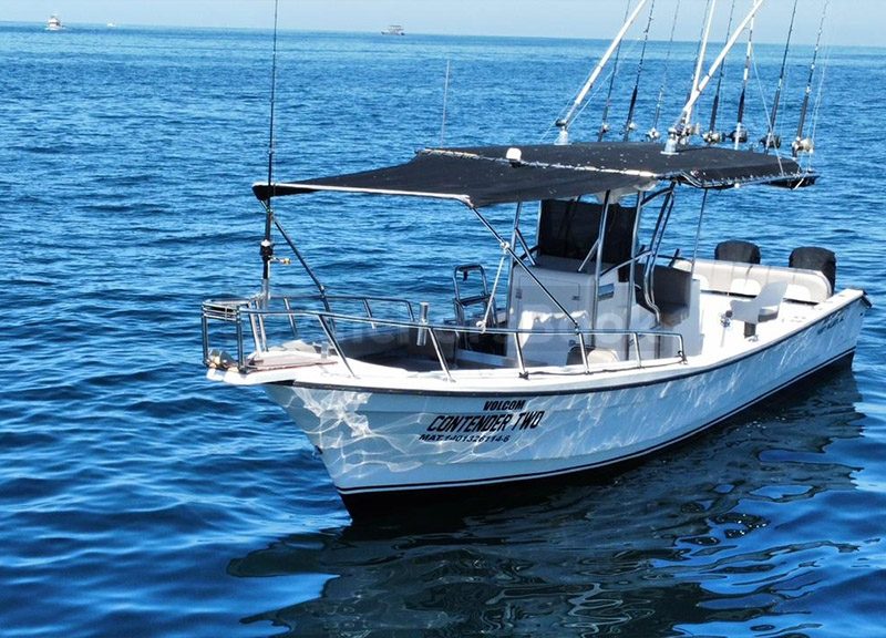 Fishing Boat Rental In Puerto Vallarta, Jalisco | Center Console 30 | AnchorsBook Photo Fishing Boat Rental In Puerto Vallarta, Jalisco | Center Console 30