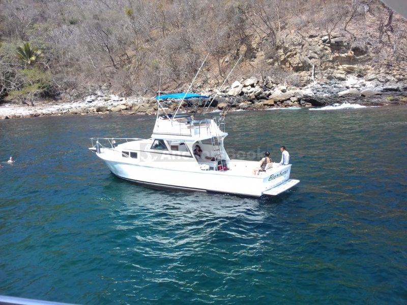 Custom 36: Best Value Boating in PV | AnchorsBook Photo Custom 36: Best Value Boating in PV