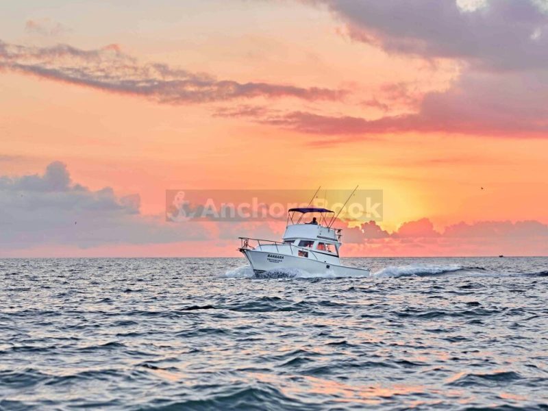 Custom 36: Best Value Boating in PV | AnchorsBook Photo Custom 36: Best Value Boating in PV