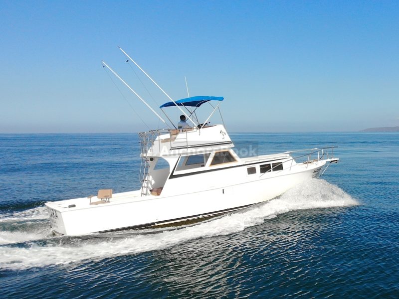 Custom 36: Best Value Boating in PV | AnchorsBook Photo Custom 36: Best Value Boating in PV