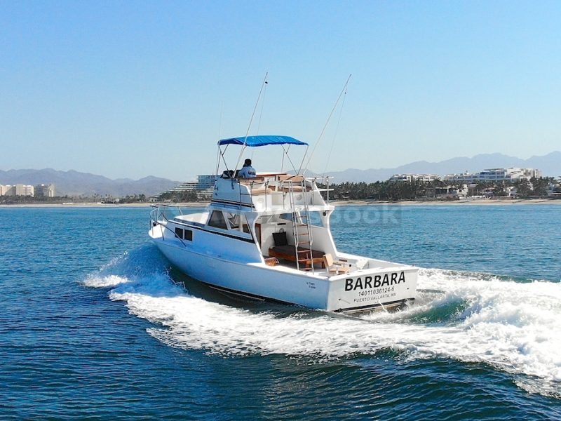 Custom 36: Best Value Boating in PV | AnchorsBook Photo Custom 36: Best Value Boating in PV