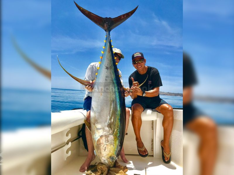 Fishing Boat Rental In Puerto Vallarta, Jalisco | El Matador | AnchorsBook Photo Fishing Boat Rental In Puerto Vallarta, Jalisco | El Matador