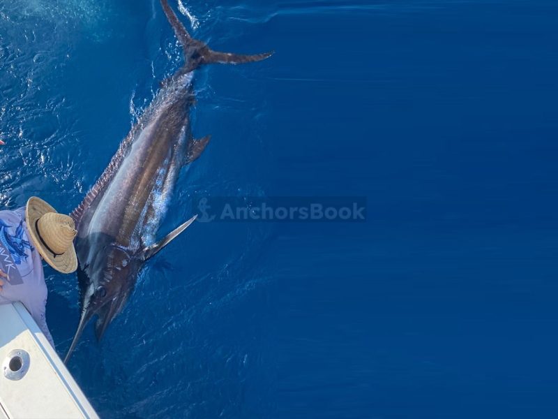 Fishing Boat Rental In Puerto Vallarta, Jalisco | El Matador | AnchorsBook Photo Fishing Boat Rental In Puerto Vallarta, Jalisco | El Matador
