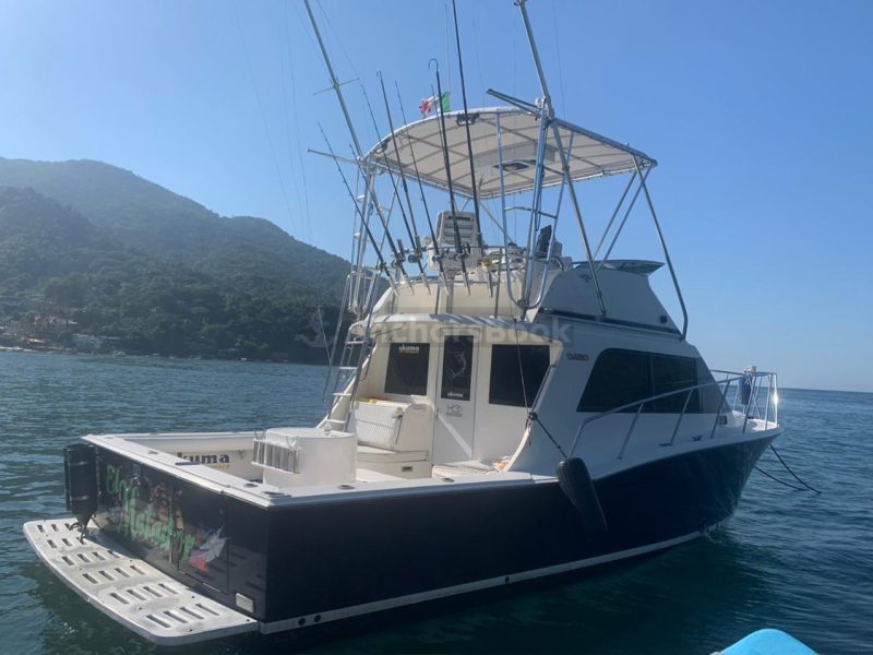 Fishing Boat Rental In Puerto Vallarta, Jalisco | El Matador | AnchorsBook Photo Fishing Boat Rental In Puerto Vallarta, Jalisco | El Matador