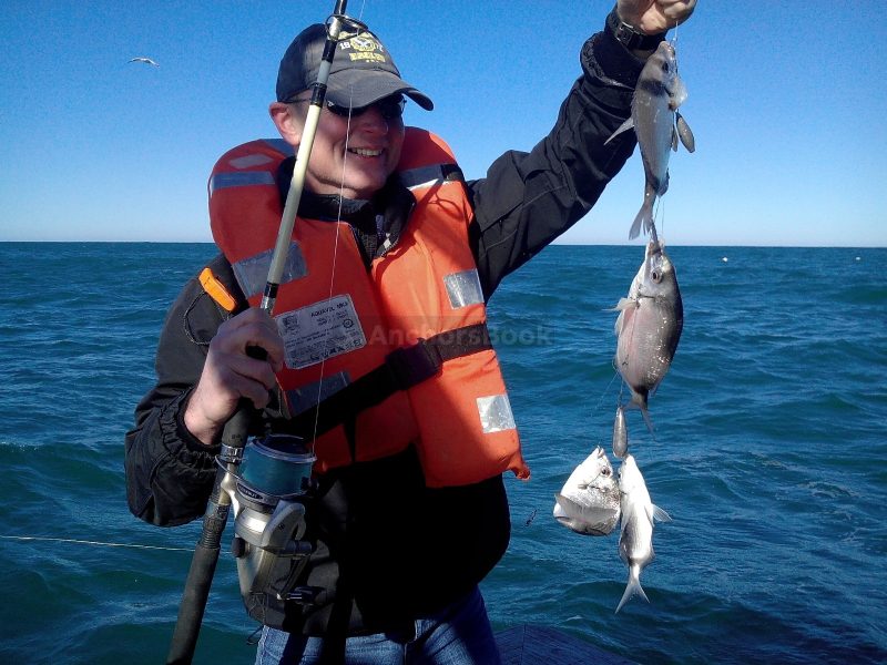 Cascais: Half-day Fishing Tour (Priced Per Person/Guest) | AnchorsBook Photo Cascais: Half-day Fishing Tour (Priced Per Person/Guest)