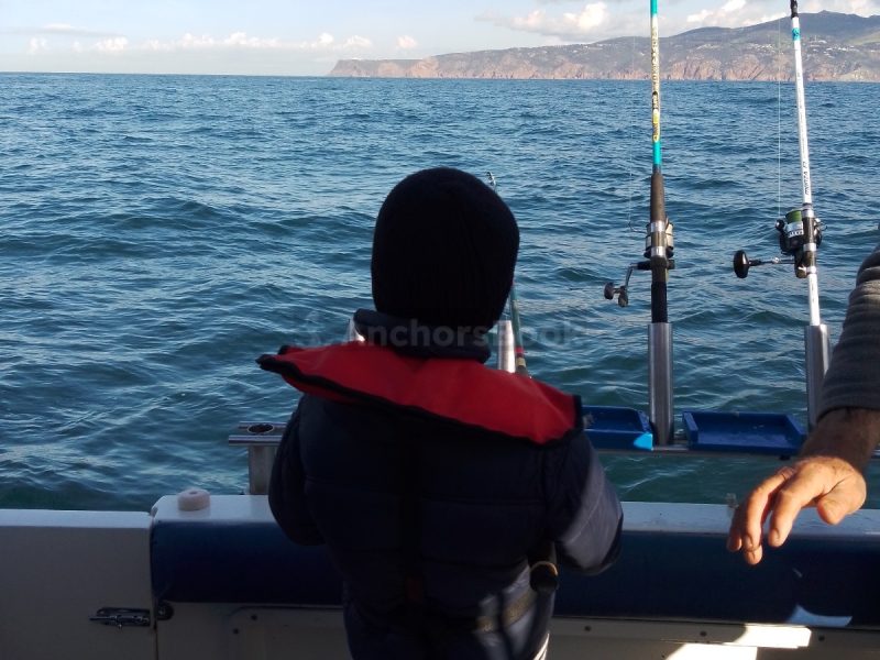 Cascais: Half-day Fishing Tour (Priced Per Person/Guest) | AnchorsBook Photo Cascais: Half-day Fishing Tour (Priced Per Person/Guest)