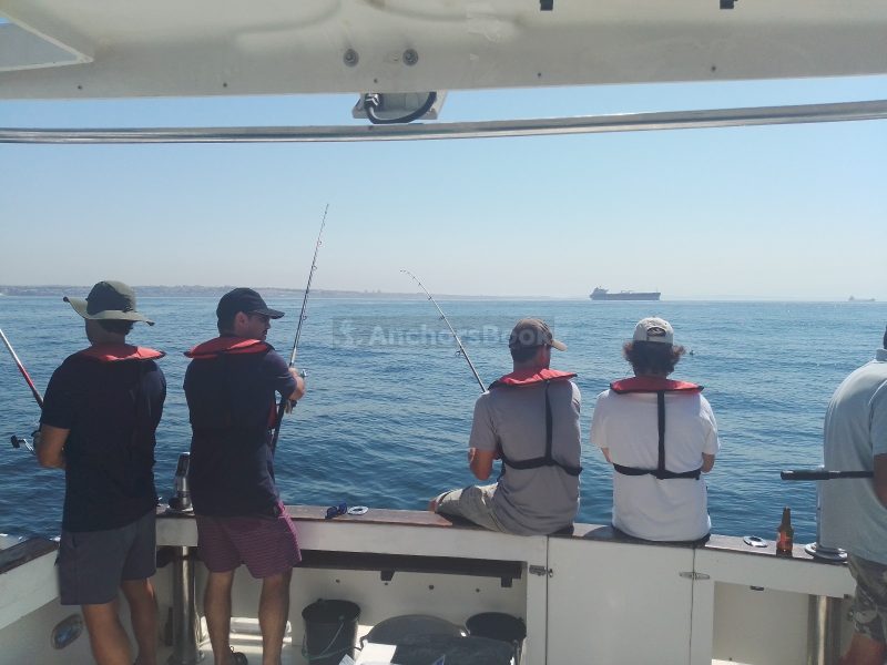 Cascais: Half-day Fishing Tour (Priced Per Person/Guest) | AnchorsBook Photo Cascais: Half-day Fishing Tour (Priced Per Person/Guest)