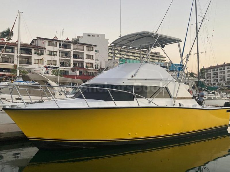 Fishing Boat Rental In Puerto Vallarta, Jalisco | Bertram 36 | AnchorsBook Photo Fishing Boat Rental In Puerto Vallarta, Jalisco | Bertram 36