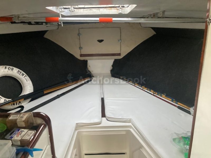 Fishing Boat Rental In Puerto Vallarta, Jalisco | Bertram 36 | AnchorsBook Photo Fishing Boat Rental In Puerto Vallarta, Jalisco | Bertram 36