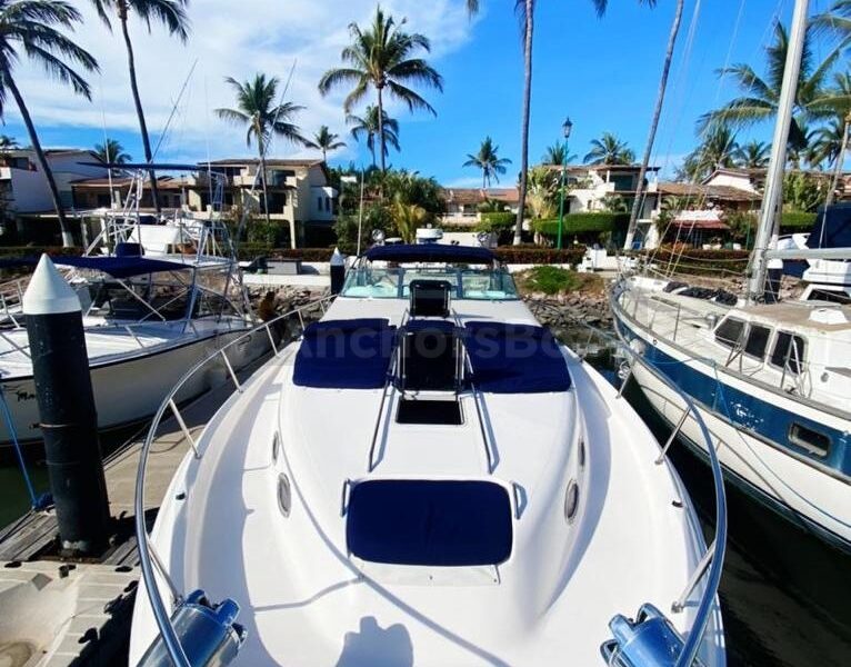Luxury Yacht Rental In Puerto Vallarta, Jalisco | SeaRay 45 | AnchorsBook Photo Luxury Yacht Rental In Puerto Vallarta, Jalisco | SeaRay 45