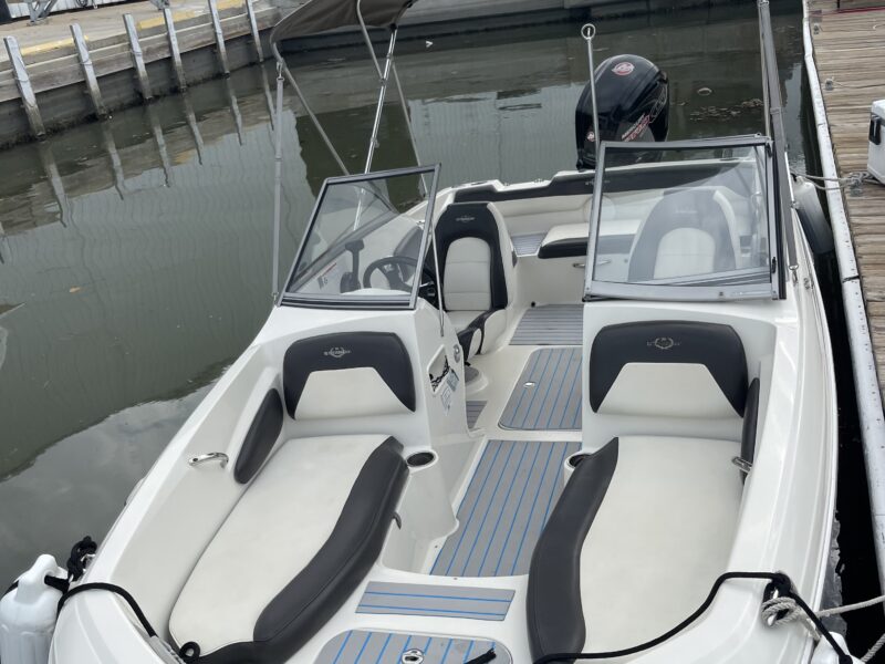 BOAT FUN IN THE SUN - STINGRAY STYLE! | AnchorsBook Photo BOAT FUN IN THE SUN - STINGRAY STYLE!